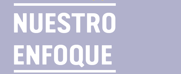 nuestro enfoque