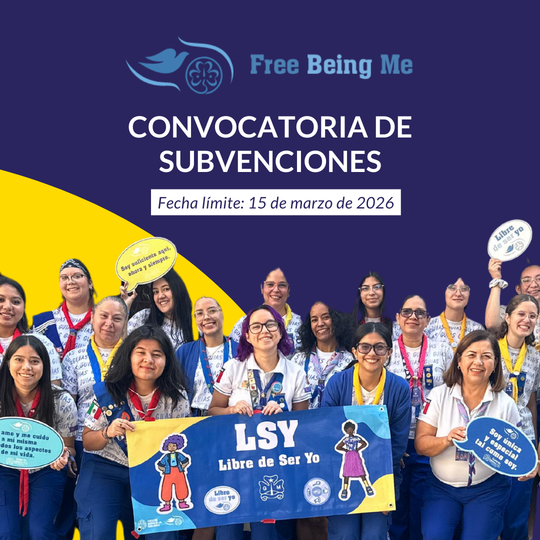 FBM Grant Application Spanish