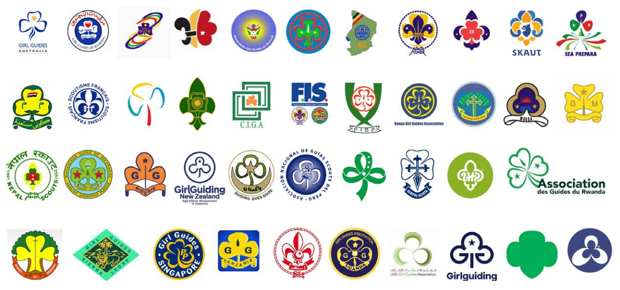 Member organisations involved