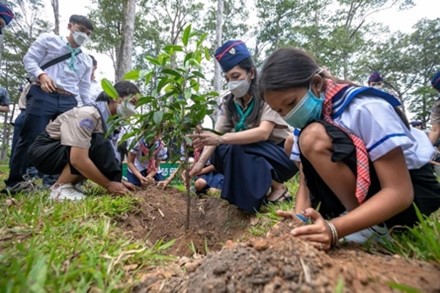 Young people planting trees